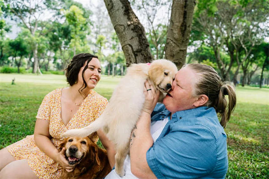 愛犬が他の犬と遊ばない…それって問題？見極める3つのポイント