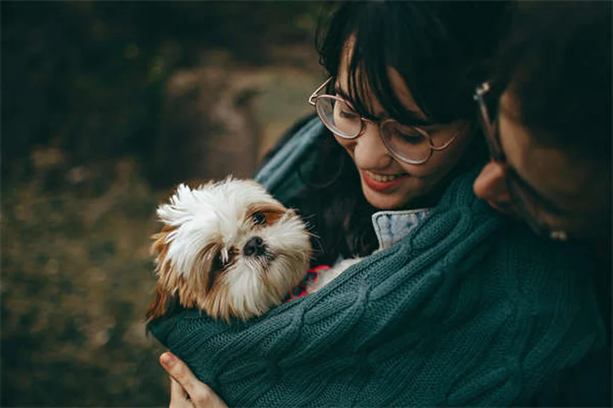 子馬のトレーニングはいつから？プロが教える最適な開始時期と方法